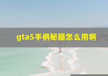 gta5手柄秘籍怎么用啊