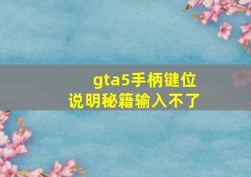 gta5手柄键位说明秘籍输入不了