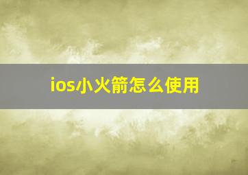 ios小火箭怎么使用