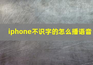 iphone不识字的怎么播语音