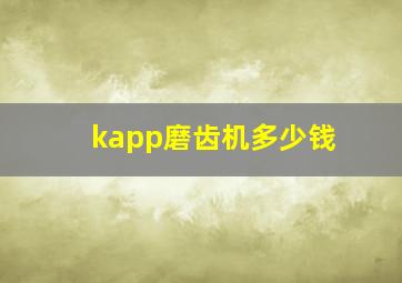 kapp磨齿机多少钱