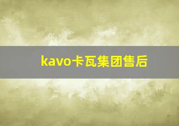 kavo卡瓦集团售后