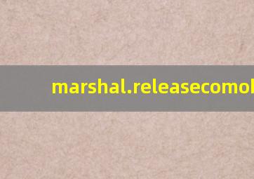 marshal.releasecomobject