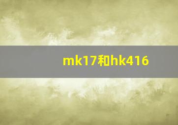 mk17和hk416