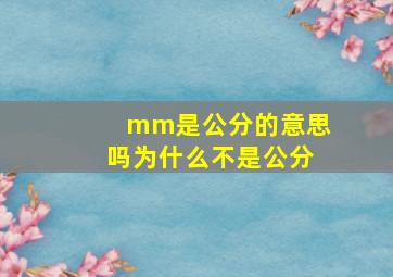 mm是公分的意思吗为什么不是公分