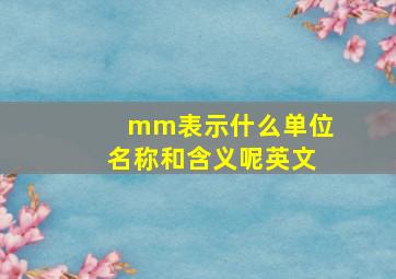 mm表示什么单位名称和含义呢英文