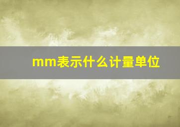 mm表示什么计量单位