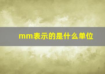 mm表示的是什么单位