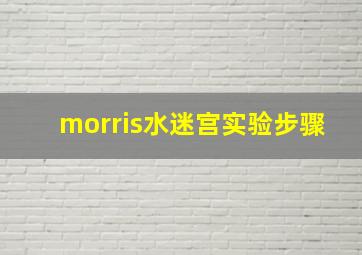 morris水迷宫实验步骤