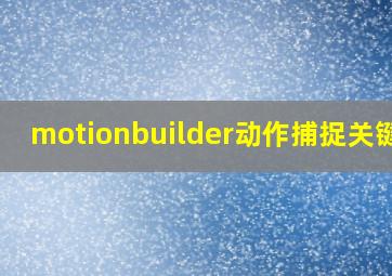 motionbuilder动作捕捉关键帧