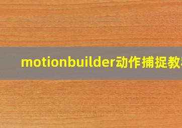 motionbuilder动作捕捉教程