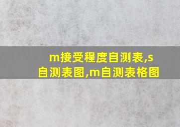 m接受程度自测表,s自测表图,m自测表格图