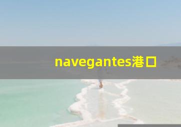 navegantes港口