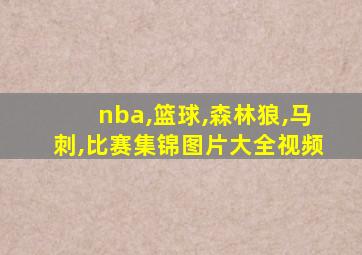 nba,篮球,森林狼,马刺,比赛集锦图片大全视频