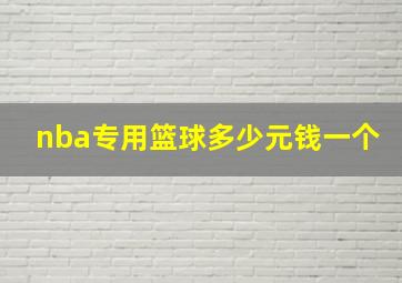 nba专用篮球多少元钱一个