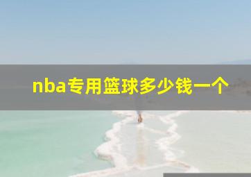 nba专用篮球多少钱一个