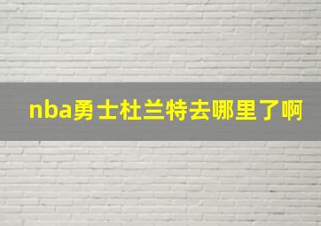 nba勇士杜兰特去哪里了啊