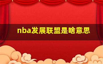 nba发展联盟是啥意思