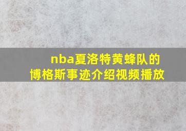 nba夏洛特黄蜂队的博格斯事迹介绍视频播放