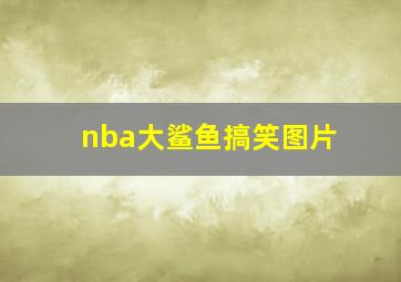 nba大鲨鱼搞笑图片