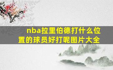 nba拉里伯德打什么位置的球员好打呢图片大全