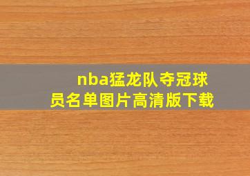 nba猛龙队夺冠球员名单图片高清版下载