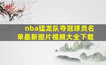 nba猛龙队夺冠球员名单最新图片视频大全下载