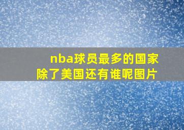 nba球员最多的国家除了美国还有谁呢图片