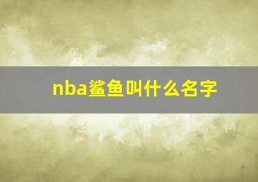 nba鲨鱼叫什么名字