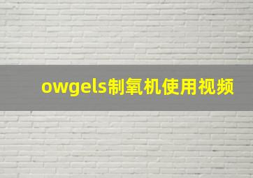 owgels制氧机使用视频