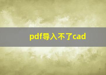 pdf导入不了cad