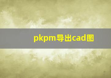 pkpm导出cad图