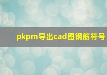 pkpm导出cad图钢筋符号