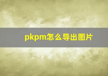 pkpm怎么导出图片