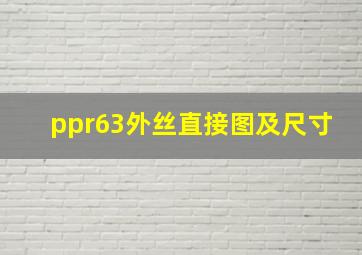 ppr63外丝直接图及尺寸