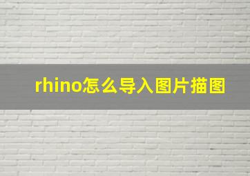 rhino怎么导入图片描图