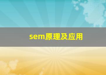 sem原理及应用