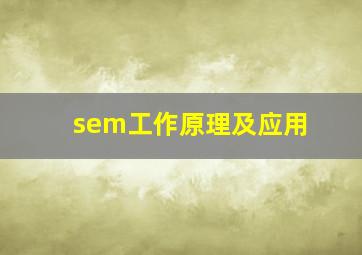 sem工作原理及应用