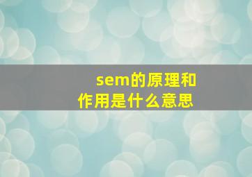 sem的原理和作用是什么意思