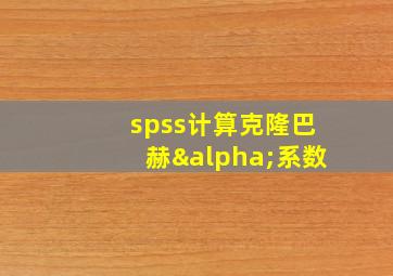 spss计算克隆巴赫α系数