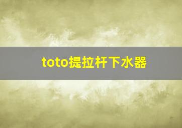 toto提拉杆下水器