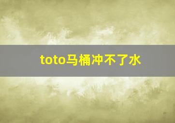 toto马桶冲不了水