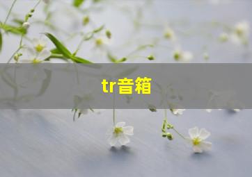 tr音箱