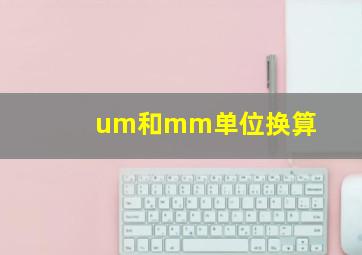 um和mm单位换算