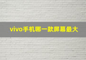 vivo手机哪一款屏幕最大