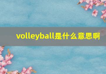 volleyball是什么意思啊