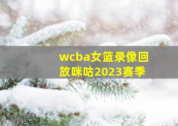 wcba女篮录像回放咪咕2023赛季