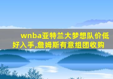 wnba亚特兰大梦想队价低好入手,詹姆斯有意组团收购