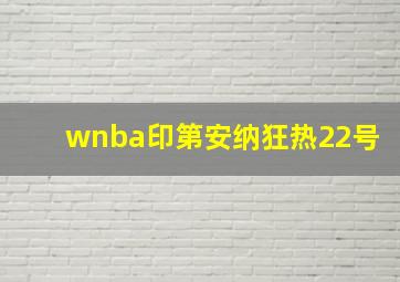 wnba印第安纳狂热22号