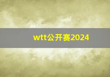 wtt公开赛2024